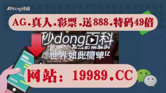 2024年澳门全年一肖一码开好彩正版资料,精选解释解析落实