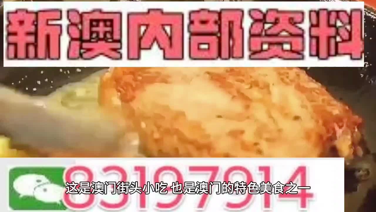 新奥门特免费资料大全凯旋门,精选资料解析大全