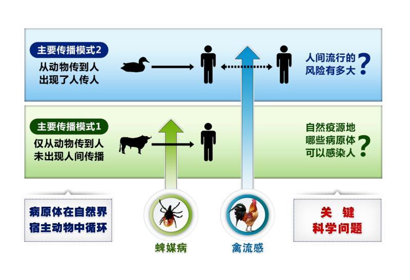 广东省蜱感染，挑战与应对策略