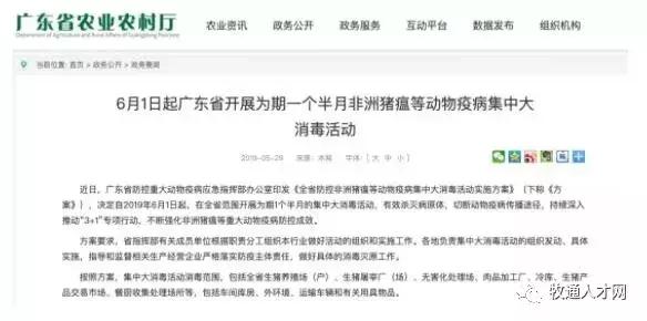 广东省全省今日猪肉价格分析与观察