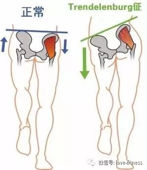 宝宝成长里程碑，腰部肌肉的发展与变化