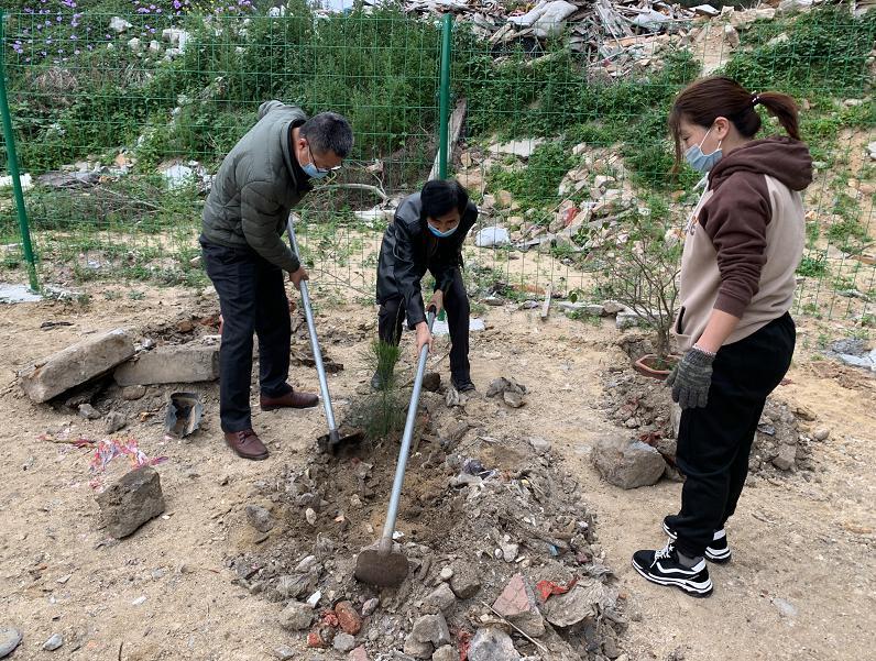 东山，这片充满生机与活力的土地，属于广东省