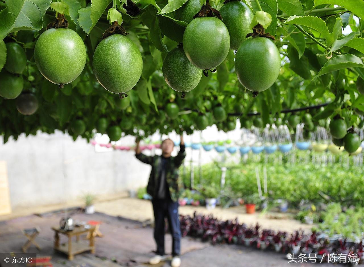 广东省考22套题解析，深度探讨与策略建议