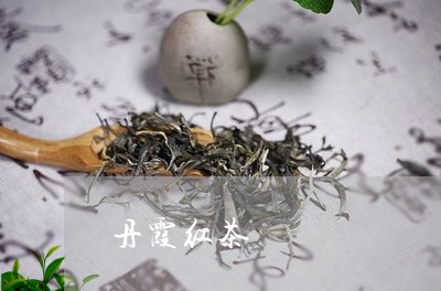 广东丹霞茶叶有限公司，传承与创新中的茶叶典范