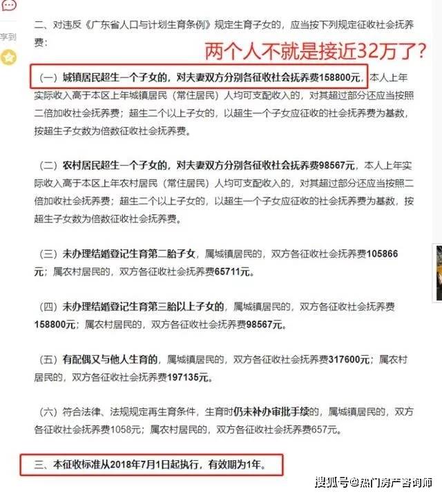 广东省社会抚养费征收决定书及其相关探讨