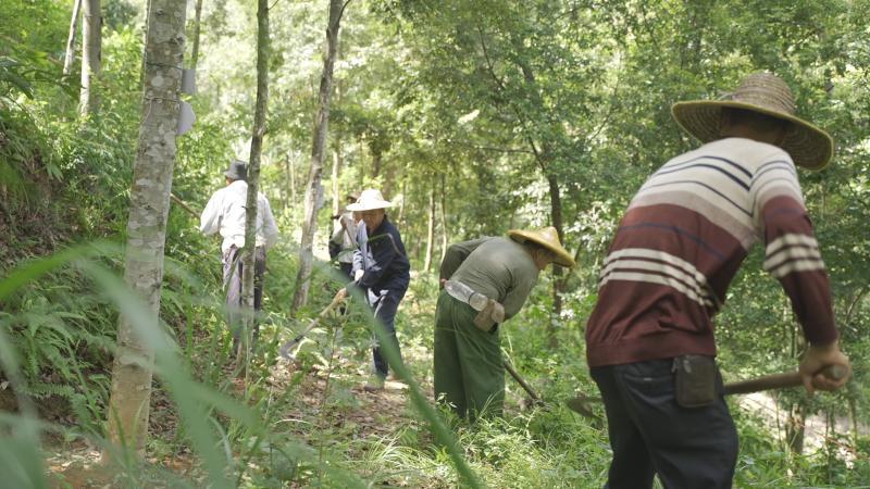 广东省国储局，引领地方经济发展的重要力量