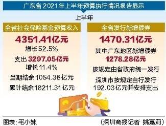 广东省社保代缴，解析、应用与前景展望