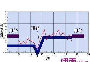 2025年1月20日 第20页