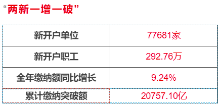 广东省公积金个人缴纳比例及金额解析