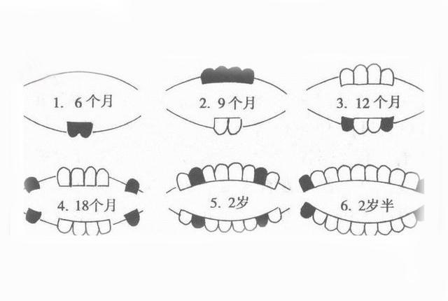 女孩几个月长牙，婴幼儿牙齿生长规律解析