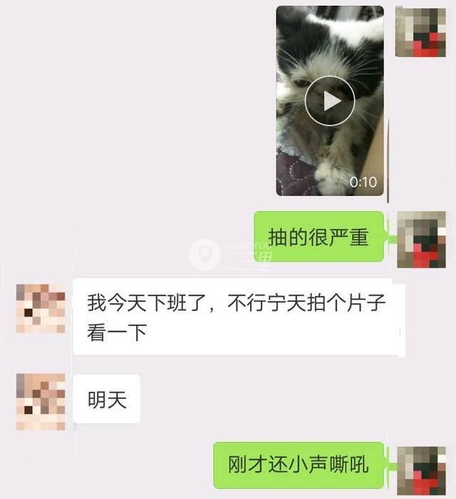 关于两个月宝宝有眼屎的问题及其解决方法